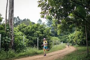 BIB: 
                            <button type="button" onclick="openModal(26834494)" class="btn btn-primary btn-sm float-right btn-popup" data-toggle="modal" data-target=".modal-high-quality">
                        <i class="fas fa-shopping-cart"></i> Add to Cart
                    </button>
                                            <button type="button" onclick="isThisMe(26834494, true)" class="btn btn-success btn-sm float-right btn-popup btn-isme hidden" data-toggle="tooltip" data-placement="bottom" title="นี่คือรูปของคุณใช่ไหม คลิกที่นี่เพื่อเอาเข้าอัลบั้ม">
                        <i class="fas fa-plus"></i> Add to album
                    </button>
                    <button type="button" onclick="isThisMe(26834494, false)" class="btn btn-warning btn-sm float-right btn-popup btn-isnotme hidden">
                        <i class="fas fa-ban"></i> Remove from album
                    </button>