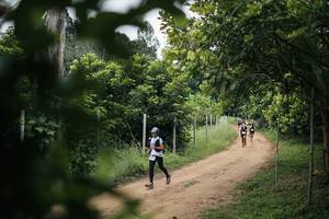 BIB: 
                            <button type="button" onclick="openModal(26828828)" class="btn btn-primary btn-sm float-right btn-popup" data-toggle="modal" data-target=".modal-high-quality">
                        <i class="fas fa-shopping-cart"></i> Add to Cart
                    </button>
                                            <button type="button" onclick="isThisMe(26828828, true)" class="btn btn-success btn-sm float-right btn-popup btn-isme hidden" data-toggle="tooltip" data-placement="bottom" title="นี่คือรูปของคุณใช่ไหม คลิกที่นี่เพื่อเอาเข้าอัลบั้ม">
                        <i class="fas fa-plus"></i> Add to album
                    </button>
                    <button type="button" onclick="isThisMe(26828828, false)" class="btn btn-warning btn-sm float-right btn-popup btn-isnotme hidden">
                        <i class="fas fa-ban"></i> Remove from album
                    </button>