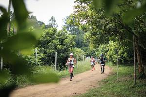 BIB: 
                            <button type="button" onclick="openModal(26822238)" class="btn btn-primary btn-sm float-right btn-popup" data-toggle="modal" data-target=".modal-high-quality">
                        <i class="fas fa-shopping-cart"></i> Add to Cart
                    </button>
                                            <button type="button" onclick="isThisMe(26822238, true)" class="btn btn-success btn-sm float-right btn-popup btn-isme hidden" data-toggle="tooltip" data-placement="bottom" title="นี่คือรูปของคุณใช่ไหม คลิกที่นี่เพื่อเอาเข้าอัลบั้ม">
                        <i class="fas fa-plus"></i> Add to album
                    </button>
                    <button type="button" onclick="isThisMe(26822238, false)" class="btn btn-warning btn-sm float-right btn-popup btn-isnotme hidden">
                        <i class="fas fa-ban"></i> Remove from album
                    </button>