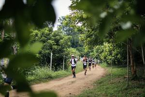 BIB: 
                            <button type="button" onclick="openModal(26823837)" class="btn btn-primary btn-sm float-right btn-popup" data-toggle="modal" data-target=".modal-high-quality">
                        <i class="fas fa-shopping-cart"></i> Add to Cart
                    </button>
                                            <button type="button" onclick="isThisMe(26823837, true)" class="btn btn-success btn-sm float-right btn-popup btn-isme hidden" data-toggle="tooltip" data-placement="bottom" title="นี่คือรูปของคุณใช่ไหม คลิกที่นี่เพื่อเอาเข้าอัลบั้ม">
                        <i class="fas fa-plus"></i> Add to album
                    </button>
                    <button type="button" onclick="isThisMe(26823837, false)" class="btn btn-warning btn-sm float-right btn-popup btn-isnotme hidden">
                        <i class="fas fa-ban"></i> Remove from album
                    </button>