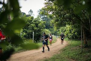 BIB: 
                            <button type="button" onclick="openModal(26821840)" class="btn btn-primary btn-sm float-right btn-popup" data-toggle="modal" data-target=".modal-high-quality">
                        <i class="fas fa-shopping-cart"></i> Add to Cart
                    </button>
                                            <button type="button" onclick="isThisMe(26821840, true)" class="btn btn-success btn-sm float-right btn-popup btn-isme hidden" data-toggle="tooltip" data-placement="bottom" title="นี่คือรูปของคุณใช่ไหม คลิกที่นี่เพื่อเอาเข้าอัลบั้ม">
                        <i class="fas fa-plus"></i> Add to album
                    </button>
                    <button type="button" onclick="isThisMe(26821840, false)" class="btn btn-warning btn-sm float-right btn-popup btn-isnotme hidden">
                        <i class="fas fa-ban"></i> Remove from album
                    </button>