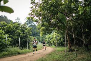 BIB: 
                            <button type="button" onclick="openModal(26821433)" class="btn btn-primary btn-sm float-right btn-popup" data-toggle="modal" data-target=".modal-high-quality">
                        <i class="fas fa-shopping-cart"></i> Add to Cart
                    </button>
                                            <button type="button" onclick="isThisMe(26821433, true)" class="btn btn-success btn-sm float-right btn-popup btn-isme hidden" data-toggle="tooltip" data-placement="bottom" title="นี่คือรูปของคุณใช่ไหม คลิกที่นี่เพื่อเอาเข้าอัลบั้ม">
                        <i class="fas fa-plus"></i> Add to album
                    </button>
                    <button type="button" onclick="isThisMe(26821433, false)" class="btn btn-warning btn-sm float-right btn-popup btn-isnotme hidden">
                        <i class="fas fa-ban"></i> Remove from album
                    </button>