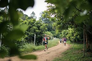 BIB: 
                            <button type="button" onclick="openModal(26823873)" class="btn btn-primary btn-sm float-right btn-popup" data-toggle="modal" data-target=".modal-high-quality">
                        <i class="fas fa-shopping-cart"></i> Add to Cart
                    </button>
                                            <button type="button" onclick="isThisMe(26823873, true)" class="btn btn-success btn-sm float-right btn-popup btn-isme hidden" data-toggle="tooltip" data-placement="bottom" title="นี่คือรูปของคุณใช่ไหม คลิกที่นี่เพื่อเอาเข้าอัลบั้ม">
                        <i class="fas fa-plus"></i> Add to album
                    </button>
                    <button type="button" onclick="isThisMe(26823873, false)" class="btn btn-warning btn-sm float-right btn-popup btn-isnotme hidden">
                        <i class="fas fa-ban"></i> Remove from album
                    </button>