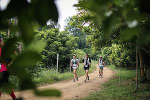 BIB: 
                            <button type="button" onclick="openModal(26823768)" class="btn btn-primary btn-sm float-right btn-popup" data-toggle="modal" data-target=".modal-high-quality">
                        <i class="fas fa-shopping-cart"></i> Add to Cart
                    </button>
                                            <button type="button" onclick="isThisMe(26823768, true)" class="btn btn-success btn-sm float-right btn-popup btn-isme hidden" data-toggle="tooltip" data-placement="bottom" title="นี่คือรูปของคุณใช่ไหม คลิกที่นี่เพื่อเอาเข้าอัลบั้ม">
                        <i class="fas fa-plus"></i> Add to album
                    </button>
                    <button type="button" onclick="isThisMe(26823768, false)" class="btn btn-warning btn-sm float-right btn-popup btn-isnotme hidden">
                        <i class="fas fa-ban"></i> Remove from album
                    </button>