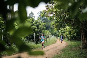 BIB: 
                            <button type="button" onclick="openModal(26826622)" class="btn btn-primary btn-sm float-right btn-popup" data-toggle="modal" data-target=".modal-high-quality">
                        <i class="fas fa-shopping-cart"></i> Add to Cart
                    </button>
                                            <button type="button" onclick="isThisMe(26826622, true)" class="btn btn-success btn-sm float-right btn-popup btn-isme hidden" data-toggle="tooltip" data-placement="bottom" title="นี่คือรูปของคุณใช่ไหม คลิกที่นี่เพื่อเอาเข้าอัลบั้ม">
                        <i class="fas fa-plus"></i> Add to album
                    </button>
                    <button type="button" onclick="isThisMe(26826622, false)" class="btn btn-warning btn-sm float-right btn-popup btn-isnotme hidden">
                        <i class="fas fa-ban"></i> Remove from album
                    </button>