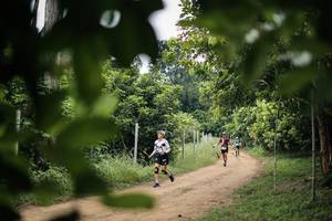 BIB: 
                            <button type="button" onclick="openModal(26825276)" class="btn btn-primary btn-sm float-right btn-popup" data-toggle="modal" data-target=".modal-high-quality">
                        <i class="fas fa-shopping-cart"></i> Add to Cart
                    </button>
                                            <button type="button" onclick="isThisMe(26825276, true)" class="btn btn-success btn-sm float-right btn-popup btn-isme hidden" data-toggle="tooltip" data-placement="bottom" title="นี่คือรูปของคุณใช่ไหม คลิกที่นี่เพื่อเอาเข้าอัลบั้ม">
                        <i class="fas fa-plus"></i> Add to album
                    </button>
                    <button type="button" onclick="isThisMe(26825276, false)" class="btn btn-warning btn-sm float-right btn-popup btn-isnotme hidden">
                        <i class="fas fa-ban"></i> Remove from album
                    </button>