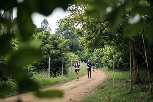 BIB: 
                            <button type="button" onclick="openModal(26826568)" class="btn btn-primary btn-sm float-right btn-popup" data-toggle="modal" data-target=".modal-high-quality">
                        <i class="fas fa-shopping-cart"></i> Add to Cart
                    </button>
                                            <button type="button" onclick="isThisMe(26826568, true)" class="btn btn-success btn-sm float-right btn-popup btn-isme hidden" data-toggle="tooltip" data-placement="bottom" title="นี่คือรูปของคุณใช่ไหม คลิกที่นี่เพื่อเอาเข้าอัลบั้ม">
                        <i class="fas fa-plus"></i> Add to album
                    </button>
                    <button type="button" onclick="isThisMe(26826568, false)" class="btn btn-warning btn-sm float-right btn-popup btn-isnotme hidden">
                        <i class="fas fa-ban"></i> Remove from album
                    </button>