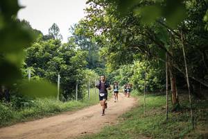 BIB: 
                            <button type="button" onclick="openModal(26822023)" class="btn btn-primary btn-sm float-right btn-popup" data-toggle="modal" data-target=".modal-high-quality">
                        <i class="fas fa-shopping-cart"></i> Add to Cart
                    </button>
                                            <button type="button" onclick="isThisMe(26822023, true)" class="btn btn-success btn-sm float-right btn-popup btn-isme hidden" data-toggle="tooltip" data-placement="bottom" title="นี่คือรูปของคุณใช่ไหม คลิกที่นี่เพื่อเอาเข้าอัลบั้ม">
                        <i class="fas fa-plus"></i> Add to album
                    </button>
                    <button type="button" onclick="isThisMe(26822023, false)" class="btn btn-warning btn-sm float-right btn-popup btn-isnotme hidden">
                        <i class="fas fa-ban"></i> Remove from album
                    </button>