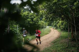 BIB: 
                            <button type="button" onclick="openModal(26828184)" class="btn btn-primary btn-sm float-right btn-popup" data-toggle="modal" data-target=".modal-high-quality">
                        <i class="fas fa-shopping-cart"></i> Add to Cart
                    </button>
                                            <button type="button" onclick="isThisMe(26828184, true)" class="btn btn-success btn-sm float-right btn-popup btn-isme hidden" data-toggle="tooltip" data-placement="bottom" title="นี่คือรูปของคุณใช่ไหม คลิกที่นี่เพื่อเอาเข้าอัลบั้ม">
                        <i class="fas fa-plus"></i> Add to album
                    </button>
                    <button type="button" onclick="isThisMe(26828184, false)" class="btn btn-warning btn-sm float-right btn-popup btn-isnotme hidden">
                        <i class="fas fa-ban"></i> Remove from album
                    </button>