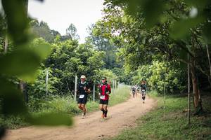 BIB: 
                            <button type="button" onclick="openModal(26822190)" class="btn btn-primary btn-sm float-right btn-popup" data-toggle="modal" data-target=".modal-high-quality">
                        <i class="fas fa-shopping-cart"></i> Add to Cart
                    </button>
                                            <button type="button" onclick="isThisMe(26822190, true)" class="btn btn-success btn-sm float-right btn-popup btn-isme hidden" data-toggle="tooltip" data-placement="bottom" title="นี่คือรูปของคุณใช่ไหม คลิกที่นี่เพื่อเอาเข้าอัลบั้ม">
                        <i class="fas fa-plus"></i> Add to album
                    </button>
                    <button type="button" onclick="isThisMe(26822190, false)" class="btn btn-warning btn-sm float-right btn-popup btn-isnotme hidden">
                        <i class="fas fa-ban"></i> Remove from album
                    </button>