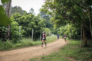 BIB: 
                            <button type="button" onclick="openModal(26822869)" class="btn btn-primary btn-sm float-right btn-popup" data-toggle="modal" data-target=".modal-high-quality">
                        <i class="fas fa-shopping-cart"></i> Add to Cart
                    </button>
                                            <button type="button" onclick="isThisMe(26822869, true)" class="btn btn-success btn-sm float-right btn-popup btn-isme hidden" data-toggle="tooltip" data-placement="bottom" title="นี่คือรูปของคุณใช่ไหม คลิกที่นี่เพื่อเอาเข้าอัลบั้ม">
                        <i class="fas fa-plus"></i> Add to album
                    </button>
                    <button type="button" onclick="isThisMe(26822869, false)" class="btn btn-warning btn-sm float-right btn-popup btn-isnotme hidden">
                        <i class="fas fa-ban"></i> Remove from album
                    </button>