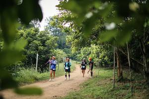 BIB: 
                            <button type="button" onclick="openModal(26821324)" class="btn btn-primary btn-sm float-right btn-popup" data-toggle="modal" data-target=".modal-high-quality">
                        <i class="fas fa-shopping-cart"></i> Add to Cart
                    </button>
                                            <button type="button" onclick="isThisMe(26821324, true)" class="btn btn-success btn-sm float-right btn-popup btn-isme hidden" data-toggle="tooltip" data-placement="bottom" title="นี่คือรูปของคุณใช่ไหม คลิกที่นี่เพื่อเอาเข้าอัลบั้ม">
                        <i class="fas fa-plus"></i> Add to album
                    </button>
                    <button type="button" onclick="isThisMe(26821324, false)" class="btn btn-warning btn-sm float-right btn-popup btn-isnotme hidden">
                        <i class="fas fa-ban"></i> Remove from album
                    </button>