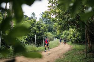 BIB: 
                            <button type="button" onclick="openModal(26823537)" class="btn btn-primary btn-sm float-right btn-popup" data-toggle="modal" data-target=".modal-high-quality">
                        <i class="fas fa-shopping-cart"></i> Add to Cart
                    </button>
                                            <button type="button" onclick="isThisMe(26823537, true)" class="btn btn-success btn-sm float-right btn-popup btn-isme hidden" data-toggle="tooltip" data-placement="bottom" title="นี่คือรูปของคุณใช่ไหม คลิกที่นี่เพื่อเอาเข้าอัลบั้ม">
                        <i class="fas fa-plus"></i> Add to album
                    </button>
                    <button type="button" onclick="isThisMe(26823537, false)" class="btn btn-warning btn-sm float-right btn-popup btn-isnotme hidden">
                        <i class="fas fa-ban"></i> Remove from album
                    </button>