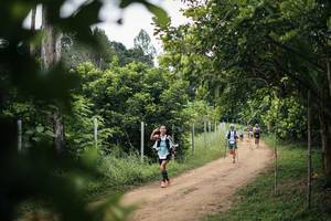 BIB: 
                            <button type="button" onclick="openModal(26828322)" class="btn btn-primary btn-sm float-right btn-popup" data-toggle="modal" data-target=".modal-high-quality">
                        <i class="fas fa-shopping-cart"></i> Add to Cart
                    </button>
                                            <button type="button" onclick="isThisMe(26828322, true)" class="btn btn-success btn-sm float-right btn-popup btn-isme hidden" data-toggle="tooltip" data-placement="bottom" title="นี่คือรูปของคุณใช่ไหม คลิกที่นี่เพื่อเอาเข้าอัลบั้ม">
                        <i class="fas fa-plus"></i> Add to album
                    </button>
                    <button type="button" onclick="isThisMe(26828322, false)" class="btn btn-warning btn-sm float-right btn-popup btn-isnotme hidden">
                        <i class="fas fa-ban"></i> Remove from album
                    </button>