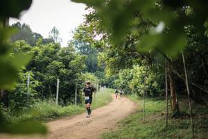 BIB: 
                            <button type="button" onclick="openModal(26821353)" class="btn btn-primary btn-sm float-right btn-popup" data-toggle="modal" data-target=".modal-high-quality">
                        <i class="fas fa-shopping-cart"></i> Add to Cart
                    </button>
                                            <button type="button" onclick="isThisMe(26821353, true)" class="btn btn-success btn-sm float-right btn-popup btn-isme hidden" data-toggle="tooltip" data-placement="bottom" title="นี่คือรูปของคุณใช่ไหม คลิกที่นี่เพื่อเอาเข้าอัลบั้ม">
                        <i class="fas fa-plus"></i> Add to album
                    </button>
                    <button type="button" onclick="isThisMe(26821353, false)" class="btn btn-warning btn-sm float-right btn-popup btn-isnotme hidden">
                        <i class="fas fa-ban"></i> Remove from album
                    </button>