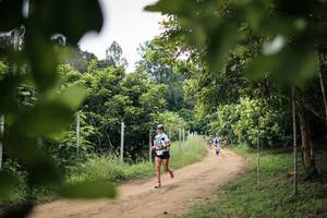 BIB: 
                            <button type="button" onclick="openModal(26826118)" class="btn btn-primary btn-sm float-right btn-popup" data-toggle="modal" data-target=".modal-high-quality">
                        <i class="fas fa-shopping-cart"></i> Add to Cart
                    </button>
                                            <button type="button" onclick="isThisMe(26826118, true)" class="btn btn-success btn-sm float-right btn-popup btn-isme hidden" data-toggle="tooltip" data-placement="bottom" title="นี่คือรูปของคุณใช่ไหม คลิกที่นี่เพื่อเอาเข้าอัลบั้ม">
                        <i class="fas fa-plus"></i> Add to album
                    </button>
                    <button type="button" onclick="isThisMe(26826118, false)" class="btn btn-warning btn-sm float-right btn-popup btn-isnotme hidden">
                        <i class="fas fa-ban"></i> Remove from album
                    </button>