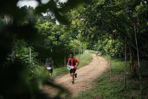 BIB: 
                            <button type="button" onclick="openModal(26828190)" class="btn btn-primary btn-sm float-right btn-popup" data-toggle="modal" data-target=".modal-high-quality">
                        <i class="fas fa-shopping-cart"></i> Add to Cart
                    </button>
                                            <button type="button" onclick="isThisMe(26828190, true)" class="btn btn-success btn-sm float-right btn-popup btn-isme hidden" data-toggle="tooltip" data-placement="bottom" title="นี่คือรูปของคุณใช่ไหม คลิกที่นี่เพื่อเอาเข้าอัลบั้ม">
                        <i class="fas fa-plus"></i> Add to album
                    </button>
                    <button type="button" onclick="isThisMe(26828190, false)" class="btn btn-warning btn-sm float-right btn-popup btn-isnotme hidden">
                        <i class="fas fa-ban"></i> Remove from album
                    </button>