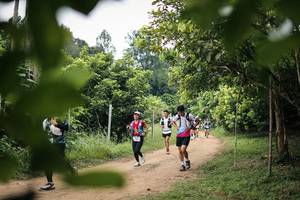 BIB: 
                            <button type="button" onclick="openModal(26822936)" class="btn btn-primary btn-sm float-right btn-popup" data-toggle="modal" data-target=".modal-high-quality">
                        <i class="fas fa-shopping-cart"></i> Add to Cart
                    </button>
                                            <button type="button" onclick="isThisMe(26822936, true)" class="btn btn-success btn-sm float-right btn-popup btn-isme hidden" data-toggle="tooltip" data-placement="bottom" title="นี่คือรูปของคุณใช่ไหม คลิกที่นี่เพื่อเอาเข้าอัลบั้ม">
                        <i class="fas fa-plus"></i> Add to album
                    </button>
                    <button type="button" onclick="isThisMe(26822936, false)" class="btn btn-warning btn-sm float-right btn-popup btn-isnotme hidden">
                        <i class="fas fa-ban"></i> Remove from album
                    </button>