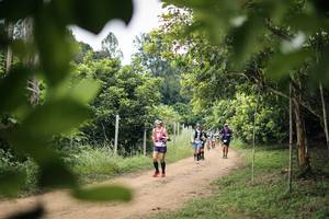 BIB: 
                            <button type="button" onclick="openModal(26822405)" class="btn btn-primary btn-sm float-right btn-popup" data-toggle="modal" data-target=".modal-high-quality">
                        <i class="fas fa-shopping-cart"></i> Add to Cart
                    </button>
                                            <button type="button" onclick="isThisMe(26822405, true)" class="btn btn-success btn-sm float-right btn-popup btn-isme hidden" data-toggle="tooltip" data-placement="bottom" title="นี่คือรูปของคุณใช่ไหม คลิกที่นี่เพื่อเอาเข้าอัลบั้ม">
                        <i class="fas fa-plus"></i> Add to album
                    </button>
                    <button type="button" onclick="isThisMe(26822405, false)" class="btn btn-warning btn-sm float-right btn-popup btn-isnotme hidden">
                        <i class="fas fa-ban"></i> Remove from album
                    </button>