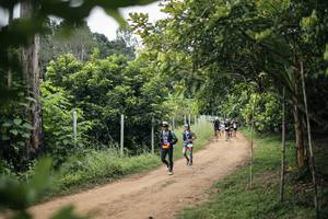 BIB: 
                            <button type="button" onclick="openModal(26828098)" class="btn btn-primary btn-sm float-right btn-popup" data-toggle="modal" data-target=".modal-high-quality">
                        <i class="fas fa-shopping-cart"></i> Add to Cart
                    </button>
                                            <button type="button" onclick="isThisMe(26828098, true)" class="btn btn-success btn-sm float-right btn-popup btn-isme hidden" data-toggle="tooltip" data-placement="bottom" title="นี่คือรูปของคุณใช่ไหม คลิกที่นี่เพื่อเอาเข้าอัลบั้ม">
                        <i class="fas fa-plus"></i> Add to album
                    </button>
                    <button type="button" onclick="isThisMe(26828098, false)" class="btn btn-warning btn-sm float-right btn-popup btn-isnotme hidden">
                        <i class="fas fa-ban"></i> Remove from album
                    </button>