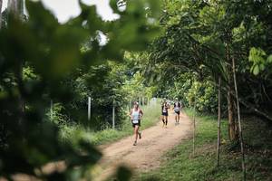 BIB: 
                            <button type="button" onclick="openModal(26830410)" class="btn btn-primary btn-sm float-right btn-popup" data-toggle="modal" data-target=".modal-high-quality">
                        <i class="fas fa-shopping-cart"></i> Add to Cart
                    </button>
                                            <button type="button" onclick="isThisMe(26830410, true)" class="btn btn-success btn-sm float-right btn-popup btn-isme hidden" data-toggle="tooltip" data-placement="bottom" title="นี่คือรูปของคุณใช่ไหม คลิกที่นี่เพื่อเอาเข้าอัลบั้ม">
                        <i class="fas fa-plus"></i> Add to album
                    </button>
                    <button type="button" onclick="isThisMe(26830410, false)" class="btn btn-warning btn-sm float-right btn-popup btn-isnotme hidden">
                        <i class="fas fa-ban"></i> Remove from album
                    </button>