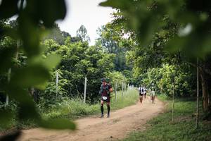 BIB: 
                            <button type="button" onclick="openModal(26824273)" class="btn btn-primary btn-sm float-right btn-popup" data-toggle="modal" data-target=".modal-high-quality">
                        <i class="fas fa-shopping-cart"></i> Add to Cart
                    </button>
                                            <button type="button" onclick="isThisMe(26824273, true)" class="btn btn-success btn-sm float-right btn-popup btn-isme hidden" data-toggle="tooltip" data-placement="bottom" title="นี่คือรูปของคุณใช่ไหม คลิกที่นี่เพื่อเอาเข้าอัลบั้ม">
                        <i class="fas fa-plus"></i> Add to album
                    </button>
                    <button type="button" onclick="isThisMe(26824273, false)" class="btn btn-warning btn-sm float-right btn-popup btn-isnotme hidden">
                        <i class="fas fa-ban"></i> Remove from album
                    </button>