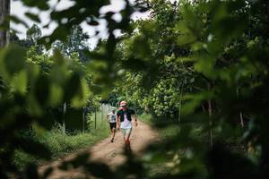 BIB: 
                            <button type="button" onclick="openModal(26834685)" class="btn btn-primary btn-sm float-right btn-popup" data-toggle="modal" data-target=".modal-high-quality">
                        <i class="fas fa-shopping-cart"></i> Add to Cart
                    </button>
                                            <button type="button" onclick="isThisMe(26834685, true)" class="btn btn-success btn-sm float-right btn-popup btn-isme hidden" data-toggle="tooltip" data-placement="bottom" title="นี่คือรูปของคุณใช่ไหม คลิกที่นี่เพื่อเอาเข้าอัลบั้ม">
                        <i class="fas fa-plus"></i> Add to album
                    </button>
                    <button type="button" onclick="isThisMe(26834685, false)" class="btn btn-warning btn-sm float-right btn-popup btn-isnotme hidden">
                        <i class="fas fa-ban"></i> Remove from album
                    </button>