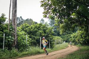 BIB: 
                            <button type="button" onclick="openModal(26834492)" class="btn btn-primary btn-sm float-right btn-popup" data-toggle="modal" data-target=".modal-high-quality">
                        <i class="fas fa-shopping-cart"></i> Add to Cart
                    </button>
                                            <button type="button" onclick="isThisMe(26834492, true)" class="btn btn-success btn-sm float-right btn-popup btn-isme hidden" data-toggle="tooltip" data-placement="bottom" title="นี่คือรูปของคุณใช่ไหม คลิกที่นี่เพื่อเอาเข้าอัลบั้ม">
                        <i class="fas fa-plus"></i> Add to album
                    </button>
                    <button type="button" onclick="isThisMe(26834492, false)" class="btn btn-warning btn-sm float-right btn-popup btn-isnotme hidden">
                        <i class="fas fa-ban"></i> Remove from album
                    </button>