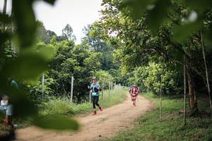 BIB: 
                            <button type="button" onclick="openModal(26823173)" class="btn btn-primary btn-sm float-right btn-popup" data-toggle="modal" data-target=".modal-high-quality">
                        <i class="fas fa-shopping-cart"></i> Add to Cart
                    </button>
                                            <button type="button" onclick="isThisMe(26823173, true)" class="btn btn-success btn-sm float-right btn-popup btn-isme hidden" data-toggle="tooltip" data-placement="bottom" title="นี่คือรูปของคุณใช่ไหม คลิกที่นี่เพื่อเอาเข้าอัลบั้ม">
                        <i class="fas fa-plus"></i> Add to album
                    </button>
                    <button type="button" onclick="isThisMe(26823173, false)" class="btn btn-warning btn-sm float-right btn-popup btn-isnotme hidden">
                        <i class="fas fa-ban"></i> Remove from album
                    </button>