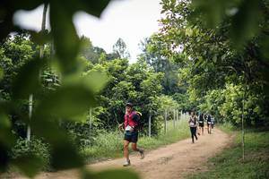 BIB: 
                            <button type="button" onclick="openModal(26823360)" class="btn btn-primary btn-sm float-right btn-popup" data-toggle="modal" data-target=".modal-high-quality">
                        <i class="fas fa-shopping-cart"></i> Add to Cart
                    </button>
                                            <button type="button" onclick="isThisMe(26823360, true)" class="btn btn-success btn-sm float-right btn-popup btn-isme hidden" data-toggle="tooltip" data-placement="bottom" title="นี่คือรูปของคุณใช่ไหม คลิกที่นี่เพื่อเอาเข้าอัลบั้ม">
                        <i class="fas fa-plus"></i> Add to album
                    </button>
                    <button type="button" onclick="isThisMe(26823360, false)" class="btn btn-warning btn-sm float-right btn-popup btn-isnotme hidden">
                        <i class="fas fa-ban"></i> Remove from album
                    </button>