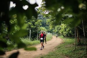 BIB: 
                            <button type="button" onclick="openModal(26821525)" class="btn btn-primary btn-sm float-right btn-popup" data-toggle="modal" data-target=".modal-high-quality">
                        <i class="fas fa-shopping-cart"></i> Add to Cart
                    </button>
                                            <button type="button" onclick="isThisMe(26821525, true)" class="btn btn-success btn-sm float-right btn-popup btn-isme hidden" data-toggle="tooltip" data-placement="bottom" title="นี่คือรูปของคุณใช่ไหม คลิกที่นี่เพื่อเอาเข้าอัลบั้ม">
                        <i class="fas fa-plus"></i> Add to album
                    </button>
                    <button type="button" onclick="isThisMe(26821525, false)" class="btn btn-warning btn-sm float-right btn-popup btn-isnotme hidden">
                        <i class="fas fa-ban"></i> Remove from album
                    </button>