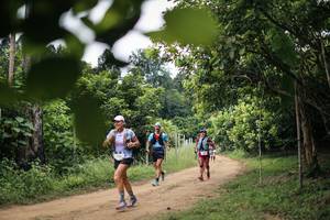 BIB: 
                            <button type="button" onclick="openModal(26827027)" class="btn btn-primary btn-sm float-right btn-popup" data-toggle="modal" data-target=".modal-high-quality">
                        <i class="fas fa-shopping-cart"></i> Add to Cart
                    </button>
                                            <button type="button" onclick="isThisMe(26827027, true)" class="btn btn-success btn-sm float-right btn-popup btn-isme hidden" data-toggle="tooltip" data-placement="bottom" title="นี่คือรูปของคุณใช่ไหม คลิกที่นี่เพื่อเอาเข้าอัลบั้ม">
                        <i class="fas fa-plus"></i> Add to album
                    </button>
                    <button type="button" onclick="isThisMe(26827027, false)" class="btn btn-warning btn-sm float-right btn-popup btn-isnotme hidden">
                        <i class="fas fa-ban"></i> Remove from album
                    </button>