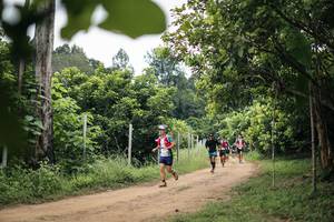 BIB: 
                            <button type="button" onclick="openModal(26826981)" class="btn btn-primary btn-sm float-right btn-popup" data-toggle="modal" data-target=".modal-high-quality">
                        <i class="fas fa-shopping-cart"></i> Add to Cart
                    </button>
                                            <button type="button" onclick="isThisMe(26826981, true)" class="btn btn-success btn-sm float-right btn-popup btn-isme hidden" data-toggle="tooltip" data-placement="bottom" title="นี่คือรูปของคุณใช่ไหม คลิกที่นี่เพื่อเอาเข้าอัลบั้ม">
                        <i class="fas fa-plus"></i> Add to album
                    </button>
                    <button type="button" onclick="isThisMe(26826981, false)" class="btn btn-warning btn-sm float-right btn-popup btn-isnotme hidden">
                        <i class="fas fa-ban"></i> Remove from album
                    </button>