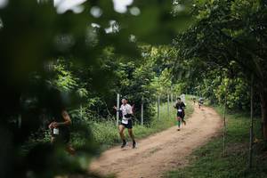 BIB: 
                            <button type="button" onclick="openModal(26829640)" class="btn btn-primary btn-sm float-right btn-popup" data-toggle="modal" data-target=".modal-high-quality">
                        <i class="fas fa-shopping-cart"></i> Add to Cart
                    </button>
                                            <button type="button" onclick="isThisMe(26829640, true)" class="btn btn-success btn-sm float-right btn-popup btn-isme hidden" data-toggle="tooltip" data-placement="bottom" title="นี่คือรูปของคุณใช่ไหม คลิกที่นี่เพื่อเอาเข้าอัลบั้ม">
                        <i class="fas fa-plus"></i> Add to album
                    </button>
                    <button type="button" onclick="isThisMe(26829640, false)" class="btn btn-warning btn-sm float-right btn-popup btn-isnotme hidden">
                        <i class="fas fa-ban"></i> Remove from album
                    </button>