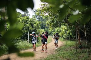 BIB: 
                            <button type="button" onclick="openModal(26822432)" class="btn btn-primary btn-sm float-right btn-popup" data-toggle="modal" data-target=".modal-high-quality">
                        <i class="fas fa-shopping-cart"></i> Add to Cart
                    </button>
                                            <button type="button" onclick="isThisMe(26822432, true)" class="btn btn-success btn-sm float-right btn-popup btn-isme hidden" data-toggle="tooltip" data-placement="bottom" title="นี่คือรูปของคุณใช่ไหม คลิกที่นี่เพื่อเอาเข้าอัลบั้ม">
                        <i class="fas fa-plus"></i> Add to album
                    </button>
                    <button type="button" onclick="isThisMe(26822432, false)" class="btn btn-warning btn-sm float-right btn-popup btn-isnotme hidden">
                        <i class="fas fa-ban"></i> Remove from album
                    </button>