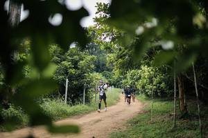 BIB: 
                            <button type="button" onclick="openModal(26826414)" class="btn btn-primary btn-sm float-right btn-popup" data-toggle="modal" data-target=".modal-high-quality">
                        <i class="fas fa-shopping-cart"></i> Add to Cart
                    </button>
                                            <button type="button" onclick="isThisMe(26826414, true)" class="btn btn-success btn-sm float-right btn-popup btn-isme hidden" data-toggle="tooltip" data-placement="bottom" title="นี่คือรูปของคุณใช่ไหม คลิกที่นี่เพื่อเอาเข้าอัลบั้ม">
                        <i class="fas fa-plus"></i> Add to album
                    </button>
                    <button type="button" onclick="isThisMe(26826414, false)" class="btn btn-warning btn-sm float-right btn-popup btn-isnotme hidden">
                        <i class="fas fa-ban"></i> Remove from album
                    </button>