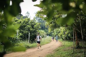 BIB: 
                            <button type="button" onclick="openModal(26821240)" class="btn btn-primary btn-sm float-right btn-popup" data-toggle="modal" data-target=".modal-high-quality">
                        <i class="fas fa-shopping-cart"></i> Add to Cart
                    </button>
                                            <button type="button" onclick="isThisMe(26821240, true)" class="btn btn-success btn-sm float-right btn-popup btn-isme hidden" data-toggle="tooltip" data-placement="bottom" title="นี่คือรูปของคุณใช่ไหม คลิกที่นี่เพื่อเอาเข้าอัลบั้ม">
                        <i class="fas fa-plus"></i> Add to album
                    </button>
                    <button type="button" onclick="isThisMe(26821240, false)" class="btn btn-warning btn-sm float-right btn-popup btn-isnotme hidden">
                        <i class="fas fa-ban"></i> Remove from album
                    </button>