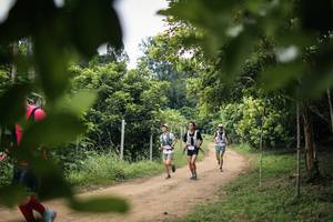 BIB: 
                            <button type="button" onclick="openModal(26823769)" class="btn btn-primary btn-sm float-right btn-popup" data-toggle="modal" data-target=".modal-high-quality">
                        <i class="fas fa-shopping-cart"></i> Add to Cart
                    </button>
                                            <button type="button" onclick="isThisMe(26823769, true)" class="btn btn-success btn-sm float-right btn-popup btn-isme hidden" data-toggle="tooltip" data-placement="bottom" title="นี่คือรูปของคุณใช่ไหม คลิกที่นี่เพื่อเอาเข้าอัลบั้ม">
                        <i class="fas fa-plus"></i> Add to album
                    </button>
                    <button type="button" onclick="isThisMe(26823769, false)" class="btn btn-warning btn-sm float-right btn-popup btn-isnotme hidden">
                        <i class="fas fa-ban"></i> Remove from album
                    </button>