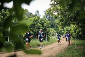 BIB: 
                            <button type="button" onclick="openModal(26823525)" class="btn btn-primary btn-sm float-right btn-popup" data-toggle="modal" data-target=".modal-high-quality">
                        <i class="fas fa-shopping-cart"></i> Add to Cart
                    </button>
                                            <button type="button" onclick="isThisMe(26823525, true)" class="btn btn-success btn-sm float-right btn-popup btn-isme hidden" data-toggle="tooltip" data-placement="bottom" title="นี่คือรูปของคุณใช่ไหม คลิกที่นี่เพื่อเอาเข้าอัลบั้ม">
                        <i class="fas fa-plus"></i> Add to album
                    </button>
                    <button type="button" onclick="isThisMe(26823525, false)" class="btn btn-warning btn-sm float-right btn-popup btn-isnotme hidden">
                        <i class="fas fa-ban"></i> Remove from album
                    </button>