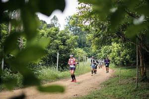 BIB: 
                            <button type="button" onclick="openModal(26822403)" class="btn btn-primary btn-sm float-right btn-popup" data-toggle="modal" data-target=".modal-high-quality">
                        <i class="fas fa-shopping-cart"></i> Add to Cart
                    </button>
                                            <button type="button" onclick="isThisMe(26822403, true)" class="btn btn-success btn-sm float-right btn-popup btn-isme hidden" data-toggle="tooltip" data-placement="bottom" title="นี่คือรูปของคุณใช่ไหม คลิกที่นี่เพื่อเอาเข้าอัลบั้ม">
                        <i class="fas fa-plus"></i> Add to album
                    </button>
                    <button type="button" onclick="isThisMe(26822403, false)" class="btn btn-warning btn-sm float-right btn-popup btn-isnotme hidden">
                        <i class="fas fa-ban"></i> Remove from album
                    </button>