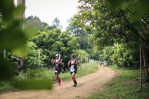 BIB: 
                            <button type="button" onclick="openModal(26822269)" class="btn btn-primary btn-sm float-right btn-popup" data-toggle="modal" data-target=".modal-high-quality">
                        <i class="fas fa-shopping-cart"></i> Add to Cart
                    </button>
                                            <button type="button" onclick="isThisMe(26822269, true)" class="btn btn-success btn-sm float-right btn-popup btn-isme hidden" data-toggle="tooltip" data-placement="bottom" title="นี่คือรูปของคุณใช่ไหม คลิกที่นี่เพื่อเอาเข้าอัลบั้ม">
                        <i class="fas fa-plus"></i> Add to album
                    </button>
                    <button type="button" onclick="isThisMe(26822269, false)" class="btn btn-warning btn-sm float-right btn-popup btn-isnotme hidden">
                        <i class="fas fa-ban"></i> Remove from album
                    </button>