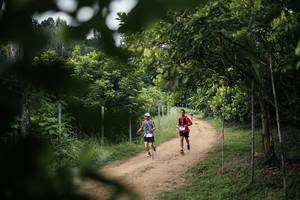 BIB: 
                            <button type="button" onclick="openModal(26828218)" class="btn btn-primary btn-sm float-right btn-popup" data-toggle="modal" data-target=".modal-high-quality">
                        <i class="fas fa-shopping-cart"></i> Add to Cart
                    </button>
                                            <button type="button" onclick="isThisMe(26828218, true)" class="btn btn-success btn-sm float-right btn-popup btn-isme hidden" data-toggle="tooltip" data-placement="bottom" title="นี่คือรูปของคุณใช่ไหม คลิกที่นี่เพื่อเอาเข้าอัลบั้ม">
                        <i class="fas fa-plus"></i> Add to album
                    </button>
                    <button type="button" onclick="isThisMe(26828218, false)" class="btn btn-warning btn-sm float-right btn-popup btn-isnotme hidden">
                        <i class="fas fa-ban"></i> Remove from album
                    </button>