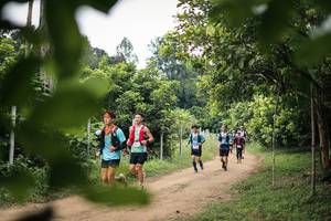 BIB: 
                            <button type="button" onclick="openModal(26823089)" class="btn btn-primary btn-sm float-right btn-popup" data-toggle="modal" data-target=".modal-high-quality">
                        <i class="fas fa-shopping-cart"></i> Add to Cart
                    </button>
                                            <button type="button" onclick="isThisMe(26823089, true)" class="btn btn-success btn-sm float-right btn-popup btn-isme hidden" data-toggle="tooltip" data-placement="bottom" title="นี่คือรูปของคุณใช่ไหม คลิกที่นี่เพื่อเอาเข้าอัลบั้ม">
                        <i class="fas fa-plus"></i> Add to album
                    </button>
                    <button type="button" onclick="isThisMe(26823089, false)" class="btn btn-warning btn-sm float-right btn-popup btn-isnotme hidden">
                        <i class="fas fa-ban"></i> Remove from album
                    </button>