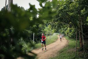 BIB: 
                            <button type="button" onclick="openModal(26821108)" class="btn btn-primary btn-sm float-right btn-popup" data-toggle="modal" data-target=".modal-high-quality">
                        <i class="fas fa-shopping-cart"></i> Add to Cart
                    </button>
                                            <button type="button" onclick="isThisMe(26821108, true)" class="btn btn-success btn-sm float-right btn-popup btn-isme hidden" data-toggle="tooltip" data-placement="bottom" title="นี่คือรูปของคุณใช่ไหม คลิกที่นี่เพื่อเอาเข้าอัลบั้ม">
                        <i class="fas fa-plus"></i> Add to album
                    </button>
                    <button type="button" onclick="isThisMe(26821108, false)" class="btn btn-warning btn-sm float-right btn-popup btn-isnotme hidden">
                        <i class="fas fa-ban"></i> Remove from album
                    </button>