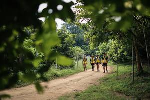 BIB: 
                            <button type="button" onclick="openModal(26821126)" class="btn btn-primary btn-sm float-right btn-popup" data-toggle="modal" data-target=".modal-high-quality">
                        <i class="fas fa-shopping-cart"></i> Add to Cart
                    </button>
                                            <button type="button" onclick="isThisMe(26821126, true)" class="btn btn-success btn-sm float-right btn-popup btn-isme hidden" data-toggle="tooltip" data-placement="bottom" title="นี่คือรูปของคุณใช่ไหม คลิกที่นี่เพื่อเอาเข้าอัลบั้ม">
                        <i class="fas fa-plus"></i> Add to album
                    </button>
                    <button type="button" onclick="isThisMe(26821126, false)" class="btn btn-warning btn-sm float-right btn-popup btn-isnotme hidden">
                        <i class="fas fa-ban"></i> Remove from album
                    </button>