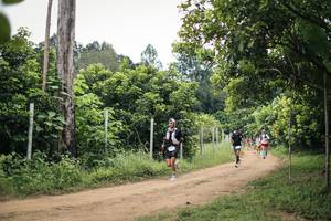 BIB: 
                            <button type="button" onclick="openModal(26827496)" class="btn btn-primary btn-sm float-right btn-popup" data-toggle="modal" data-target=".modal-high-quality">
                        <i class="fas fa-shopping-cart"></i> Add to Cart
                    </button>
                                            <button type="button" onclick="isThisMe(26827496, true)" class="btn btn-success btn-sm float-right btn-popup btn-isme hidden" data-toggle="tooltip" data-placement="bottom" title="นี่คือรูปของคุณใช่ไหม คลิกที่นี่เพื่อเอาเข้าอัลบั้ม">
                        <i class="fas fa-plus"></i> Add to album
                    </button>
                    <button type="button" onclick="isThisMe(26827496, false)" class="btn btn-warning btn-sm float-right btn-popup btn-isnotme hidden">
                        <i class="fas fa-ban"></i> Remove from album
                    </button>