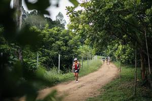 BIB: 
                            <button type="button" onclick="openModal(26829566)" class="btn btn-primary btn-sm float-right btn-popup" data-toggle="modal" data-target=".modal-high-quality">
                        <i class="fas fa-shopping-cart"></i> Add to Cart
                    </button>
                                            <button type="button" onclick="isThisMe(26829566, true)" class="btn btn-success btn-sm float-right btn-popup btn-isme hidden" data-toggle="tooltip" data-placement="bottom" title="นี่คือรูปของคุณใช่ไหม คลิกที่นี่เพื่อเอาเข้าอัลบั้ม">
                        <i class="fas fa-plus"></i> Add to album
                    </button>
                    <button type="button" onclick="isThisMe(26829566, false)" class="btn btn-warning btn-sm float-right btn-popup btn-isnotme hidden">
                        <i class="fas fa-ban"></i> Remove from album
                    </button>