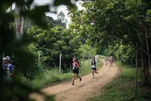 BIB: 
                            <button type="button" onclick="openModal(26829094)" class="btn btn-primary btn-sm float-right btn-popup" data-toggle="modal" data-target=".modal-high-quality">
                        <i class="fas fa-shopping-cart"></i> Add to Cart
                    </button>
                                            <button type="button" onclick="isThisMe(26829094, true)" class="btn btn-success btn-sm float-right btn-popup btn-isme hidden" data-toggle="tooltip" data-placement="bottom" title="นี่คือรูปของคุณใช่ไหม คลิกที่นี่เพื่อเอาเข้าอัลบั้ม">
                        <i class="fas fa-plus"></i> Add to album
                    </button>
                    <button type="button" onclick="isThisMe(26829094, false)" class="btn btn-warning btn-sm float-right btn-popup btn-isnotme hidden">
                        <i class="fas fa-ban"></i> Remove from album
                    </button>