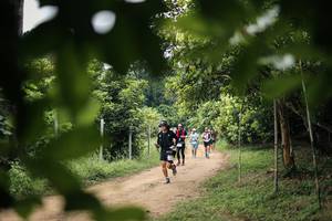 BIB: 
                            <button type="button" onclick="openModal(26822561)" class="btn btn-primary btn-sm float-right btn-popup" data-toggle="modal" data-target=".modal-high-quality">
                        <i class="fas fa-shopping-cart"></i> Add to Cart
                    </button>
                                            <button type="button" onclick="isThisMe(26822561, true)" class="btn btn-success btn-sm float-right btn-popup btn-isme hidden" data-toggle="tooltip" data-placement="bottom" title="นี่คือรูปของคุณใช่ไหม คลิกที่นี่เพื่อเอาเข้าอัลบั้ม">
                        <i class="fas fa-plus"></i> Add to album
                    </button>
                    <button type="button" onclick="isThisMe(26822561, false)" class="btn btn-warning btn-sm float-right btn-popup btn-isnotme hidden">
                        <i class="fas fa-ban"></i> Remove from album
                    </button>