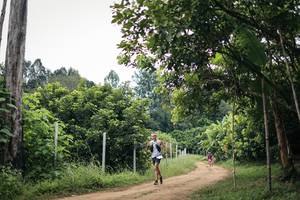 BIB: 
                            <button type="button" onclick="openModal(26834702)" class="btn btn-primary btn-sm float-right btn-popup" data-toggle="modal" data-target=".modal-high-quality">
                        <i class="fas fa-shopping-cart"></i> Add to Cart
                    </button>
                                            <button type="button" onclick="isThisMe(26834702, true)" class="btn btn-success btn-sm float-right btn-popup btn-isme hidden" data-toggle="tooltip" data-placement="bottom" title="นี่คือรูปของคุณใช่ไหม คลิกที่นี่เพื่อเอาเข้าอัลบั้ม">
                        <i class="fas fa-plus"></i> Add to album
                    </button>
                    <button type="button" onclick="isThisMe(26834702, false)" class="btn btn-warning btn-sm float-right btn-popup btn-isnotme hidden">
                        <i class="fas fa-ban"></i> Remove from album
                    </button>